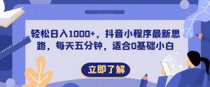 轻松日入1000+,抖音小程序最新思路,每天五分钟,适合0基础小白【揭秘】-淘金日记