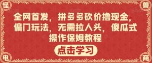 全网首发，拼多多砍价撸现金，偏门玩法，无需拉人头，傻瓜式操作保姆教程【揭秘】-淘金日记