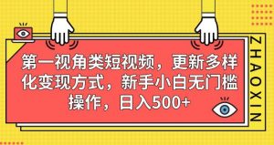 第一视角类短视频，更新多样化变现方式，新手小白无门槛操作，日入500+【揭秘】-淘金日记