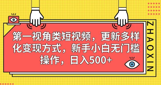 第一视角类短视频，更新多样化变现方式，新手小白无门槛操作，日入500+【揭秘】-淘金日记