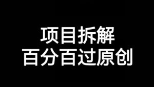 项目拆解赛道百分百过原创【揭秘】-淘金日记