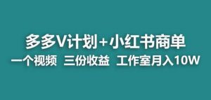 【蓝海项目】多多v计划+小红书商单一个视频三份收益工作室月入10w-淘金日记