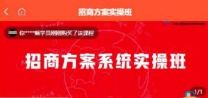 【一度招商】招商方案系统实操班 价值1980元-淘金日记