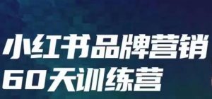 小红书品牌60天训练营第6期,GMV2亿级品牌老板都在学,教会你内容营销底层逻辑-淘金日记