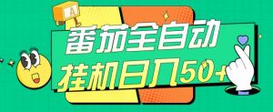 番茄全自动挂机日入50+,软件全自动,多号破百【揭秘】-淘金日记