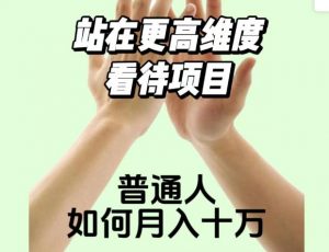 2023最火项目:站在更高维度看待项目,普通人如何月入十万【揭秘】-淘金日记