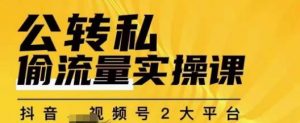 群响公转私偷流量实操课,致力于拥有更多自持,持续,稳定,精准的私域流量!-淘金日记