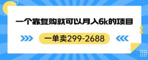 一单卖299-2688,一个靠复购就可以月入6k的暴利项目【揭秘】-淘金日记