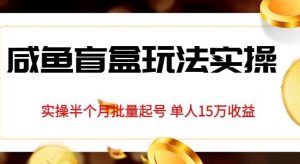 独家首发咸鱼盲盒玩法实操，半个月批量起号单人15万收益【揭秘】-淘金日记