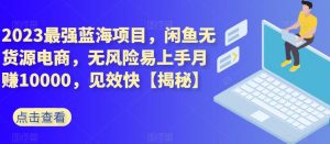 2023最强蓝海项目，闲鱼无货源电商，无风险易上手月赚10000，见效快【揭秘】-淘金日记