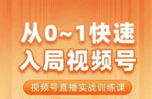 陈厂长·从0-1快速入局视频号课程，视频号直播实战训练课-淘金日记
