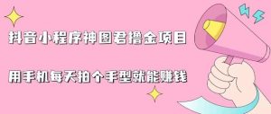 抖音小程序神图君撸金项目,用手机每天拍个手型挂载一下小程序就能赚钱【揭秘】-淘金日记