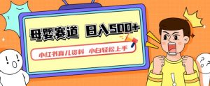 小红书育儿资料,一部手机可操作,多种变现方式,日入500+,私域变现,长期可持续项目【揭秘】-淘金日记