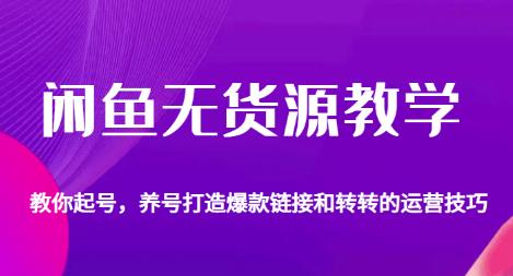 闲鱼无货源教学，教你起号，养号打造爆款链接以及转转的运营技巧-淘金日记