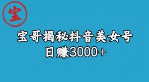 宝哥揭秘抖音美女号玩法,日赚3000+【揭秘】-淘金日记