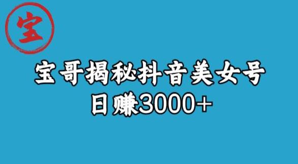宝哥揭秘抖音美女号玩法,日赚3000+【揭秘】-淘金日记