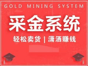 采金系统2.0,私域成交,快速成交收钱,轻松卖货,业绩暴涨,潇洒赚钱-淘金日记