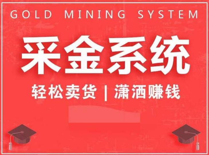 采金系统2.0,私域成交,快速成交收钱,轻松卖货,业绩暴涨,潇洒赚钱-淘金日记