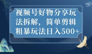 视频号好物分享玩法拆解,简单剪辑粗暴玩法日入500+【揭秘】-淘金日记