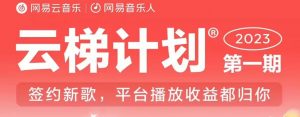 2023年8月份网易云最新独家挂机技术,真正实现挂机月入5000【揭秘】-淘金日记