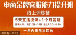 电商金牌客服能力提升班,提升客服能力是你店铺业绩的关键要素-淘金日记
