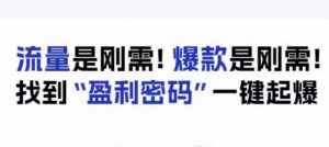 电商盈利精品课：6大盈利密码让产品更好卖，流量是刚需！爆款是刚需！找到”盈利密码”一键起爆-淘金日记