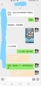 外边收费3980的同城萌宠项目,用最冷门的玩法冲击最热门的市场【揭秘】-淘金日记