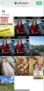 外面收费198的最新视频号连怼技术，条条原创，条条爆单【揭秘】-淘金日记