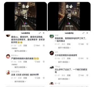 副业拆解:抖音杰伦音乐号涨粉变现项目,视频版一条龙实操玩法分享给你-淘金日记