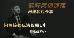 闲鱼核心玩法不卖货也能1年变现20W,玩法简单-淘金日记