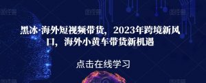黑冰·海外短视频带货,2023年跨境新风口,海外小黄车带货新机遇-淘金日记