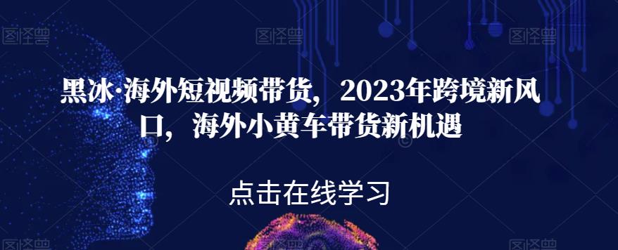 黑冰·海外短视频带货,2023年跨境新风口,海外小黄车带货新机遇-淘金日记