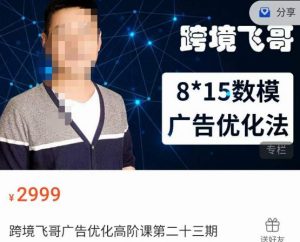 跨境飞哥·广告优化高阶课第二十三期，​8*15数模广告优化法，用数据驱动决策-淘金日记