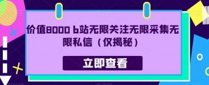 价值8000 b站无限关注无限采集无限私信（仅揭秘）-淘金日记