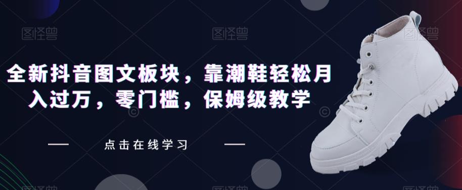 全新抖音图文板块,靠潮鞋轻松月入过万,零门槛,保姆级教学【揭秘】-淘金日记