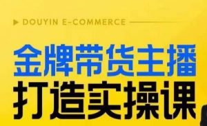 金牌带货主播打造实操课,直播间小公主丹丹老师告诉你,百万主播不可追,高效复制是王道!-淘金日记