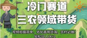 冷门赛道三农领域带货，视频拍摄简单，转化高带货强，农村必做！【揭秘】-淘金日记