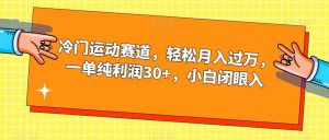 冷门运动赛道，轻松月入过万，一单纯利润30+，小白闭眼入【揭秘】-淘金日记
