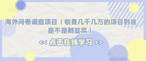海外问卷调查项目（收费几千几万的项目到底是不是割韭菜）【揭秘】-淘金日记