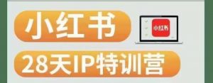 28天小红书博主IP特训营(第3期)实战经验,快速涨粉,迅速变现-淘金日记