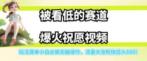 被看低的赛道爆火祝愿视频,玩法简单小白必做无脑操作,流量大涨粉快日入500-淘金日记