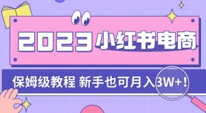 阿本小红书电商陪跑营4.0,带大家从0到1把小红书做起来-淘金日记