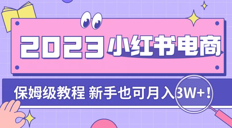 阿本小红书电商陪跑营4.0,带大家从0到1把小红书做起来-淘金日记