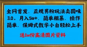 全网首发正规男粉玩法卖圆味3.0,月入5W+,简单粗暴,操作简单,保姆式教学,小白轻松上手-淘金日记