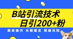 B站引流技术：每天引流200精准粉，简单操作，长期稳定，规避风险-淘金日记