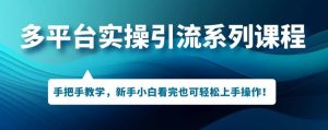 多平台引流实操系列课程,新手小白看完也可轻松上手进行引流操作-淘金日记