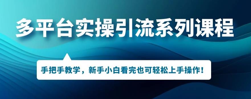 多平台引流实操系列课程,新手小白看完也可轻松上手进行引流操作-淘金日记