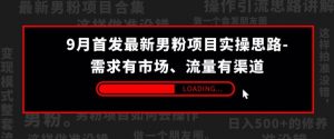 9月首发最新男粉项目实操思路-需求有市场，流量有渠道【揭秘】-淘金日记