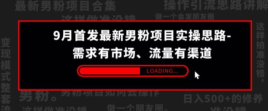 9月首发最新男粉项目实操思路-需求有市场，流量有渠道【揭秘】-淘金日记