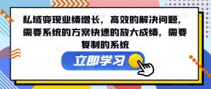 私域变现业绩增长，高效的解决问题，需要系统的方案快速的放大成绩，需要复制的系统-淘金日记